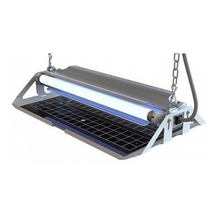 GENUS DELTA GENUS DELTA